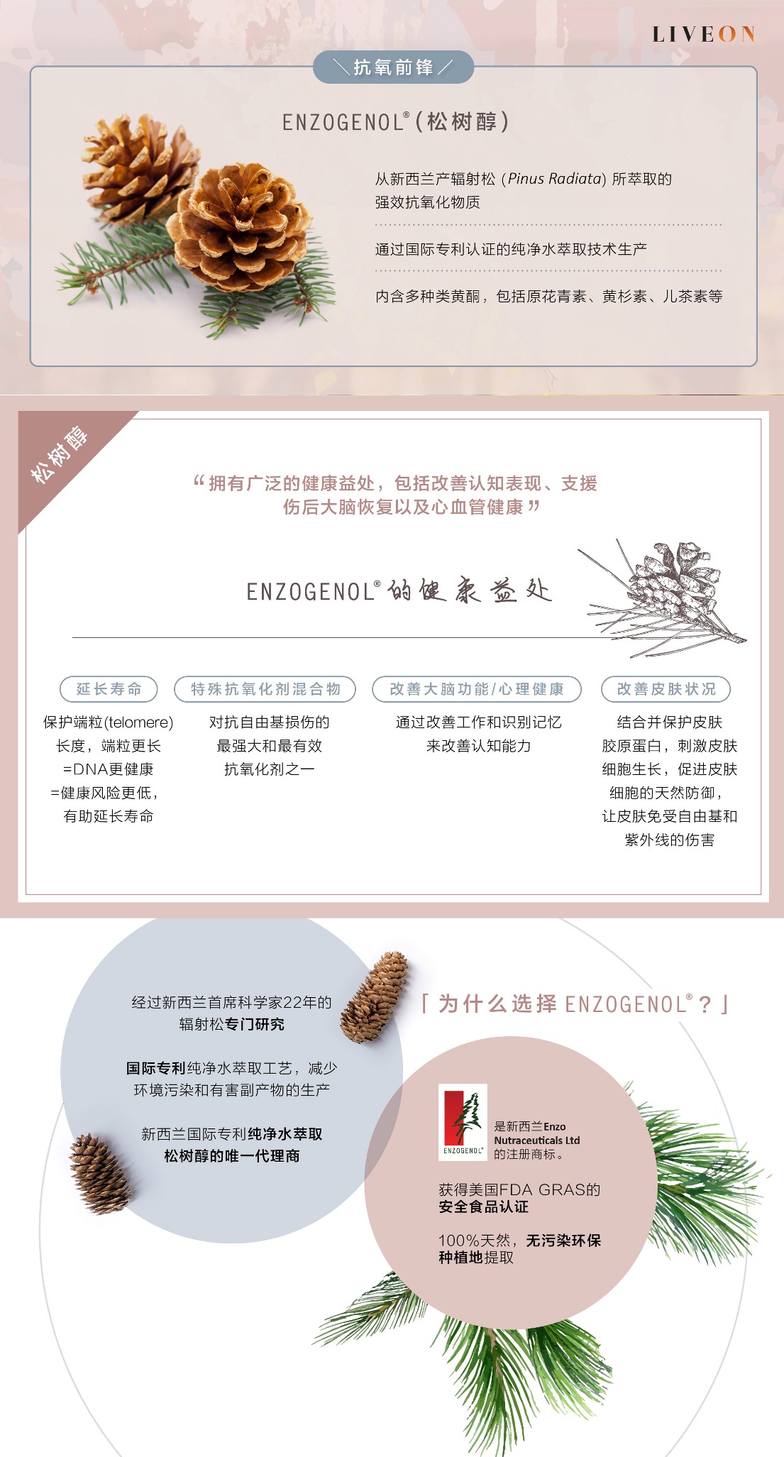 LIVEON逆龄抗糖饮 - SOD extramel pine bark extract - a powerful antioxidant extracted from bark of pinus radiata in new zealand  