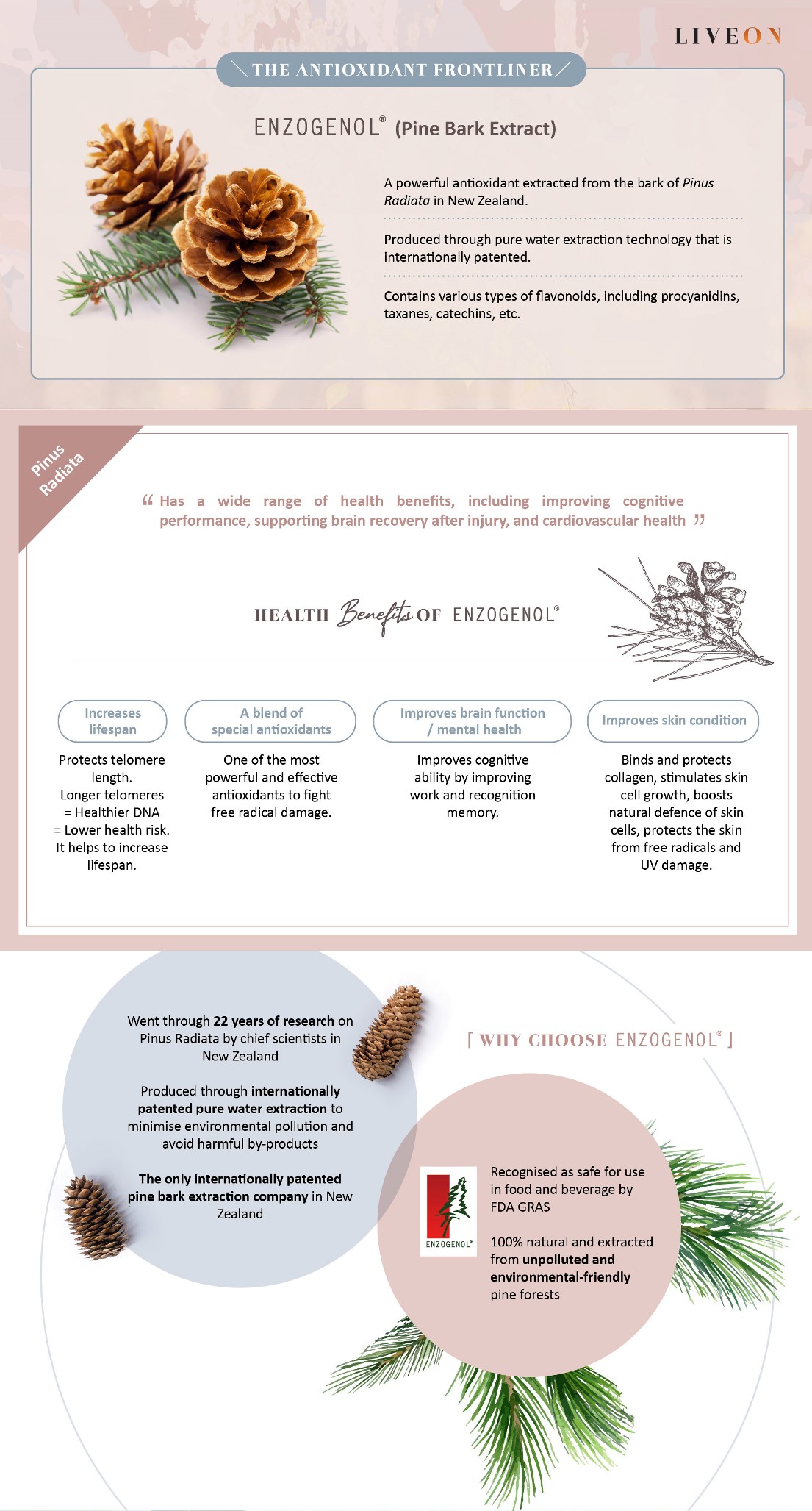 LIVEON - SOD extramel pine bark extract - a powerful antioxidant extracted from bark of pinus radiata in new zealand  