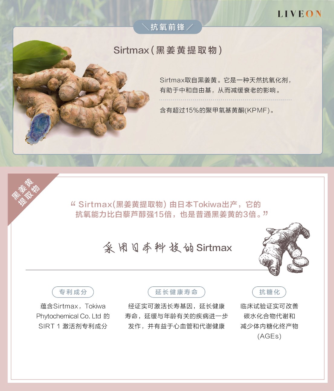 LIVEON逆龄抗糖饮 - Sirtmas (black turmeric extract) the anitoxidant frontliner  